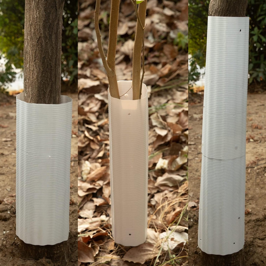 Tree Guardian Shield - 6 Pack for Ultimate Protection
