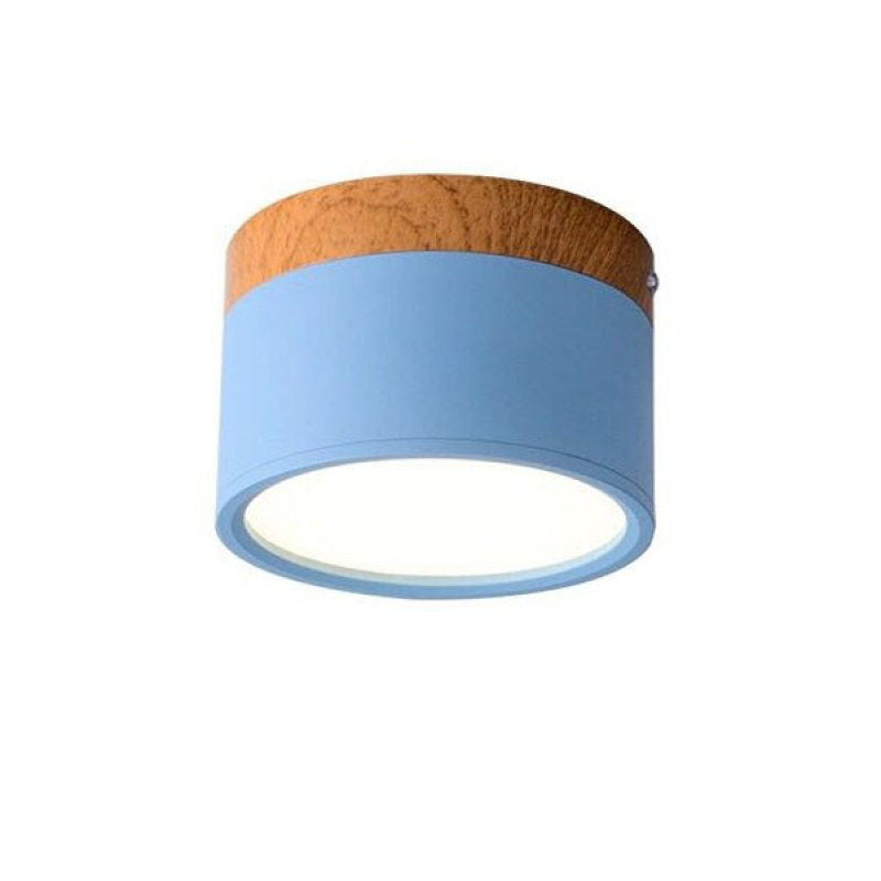 Modern LED Ceiling Light in Morandi Style