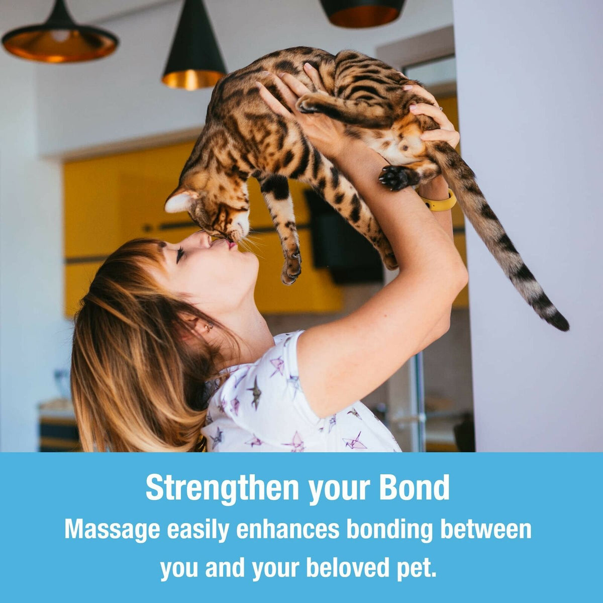 Soothing Pet Comfort Massager
