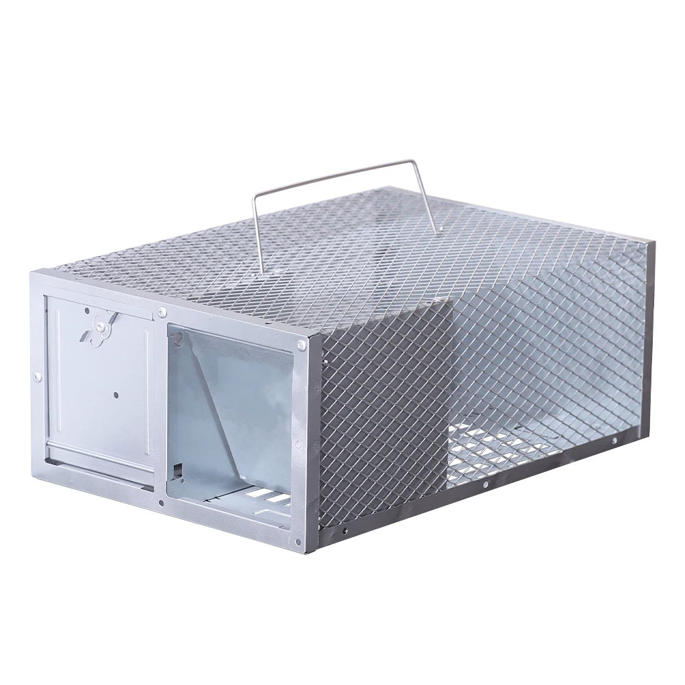 Eco-Friendly Metal Mouse Trap for Safe Rodent Control