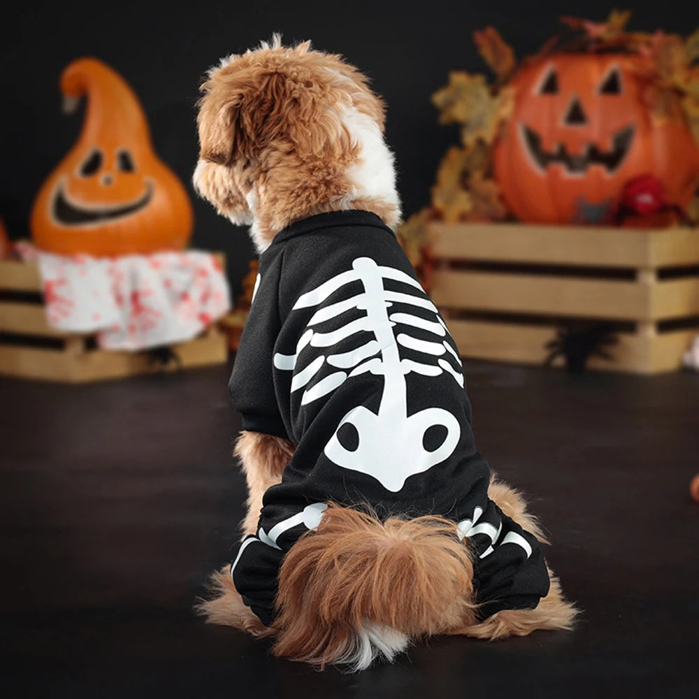 Glow-in-the-Dark Skeleton Costume for Dogs and Cats