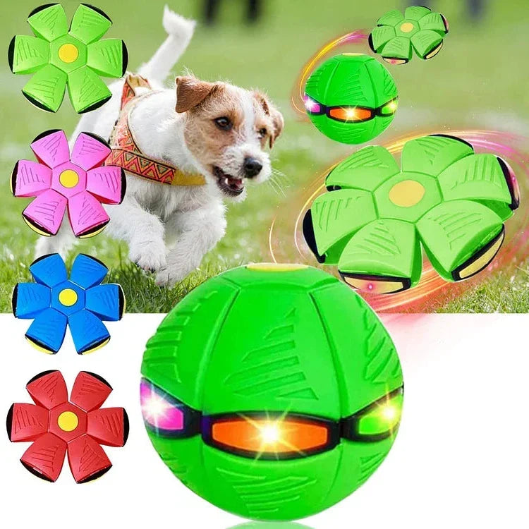 Bounce & Glow Frisbee Dog Plaything