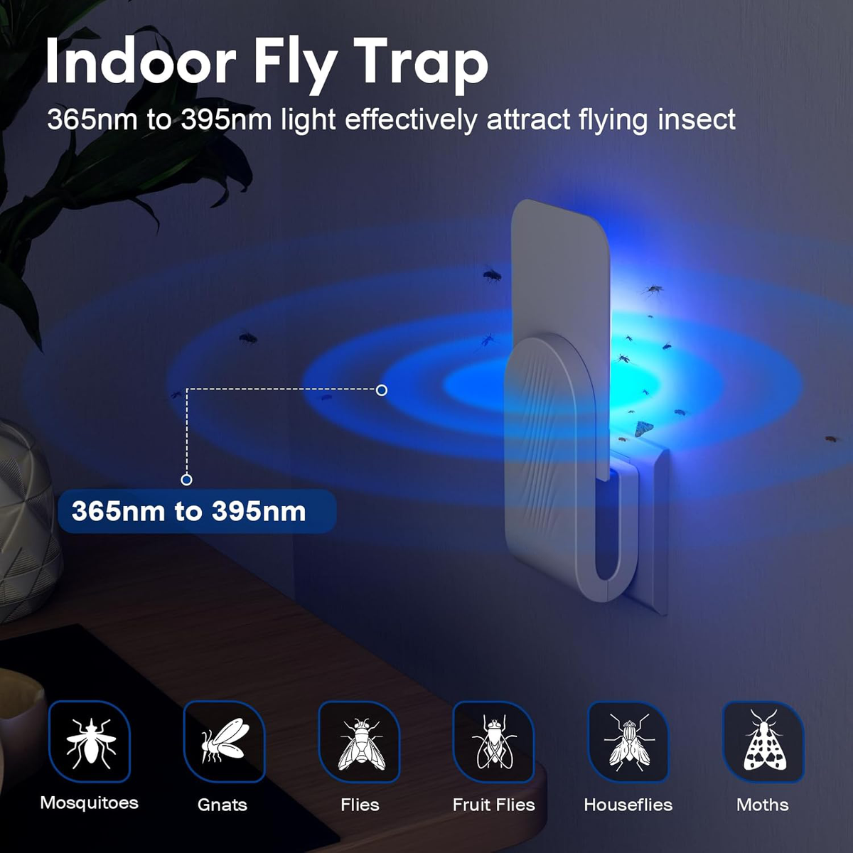 Quiet Insect Catcher for Indoor Spaces