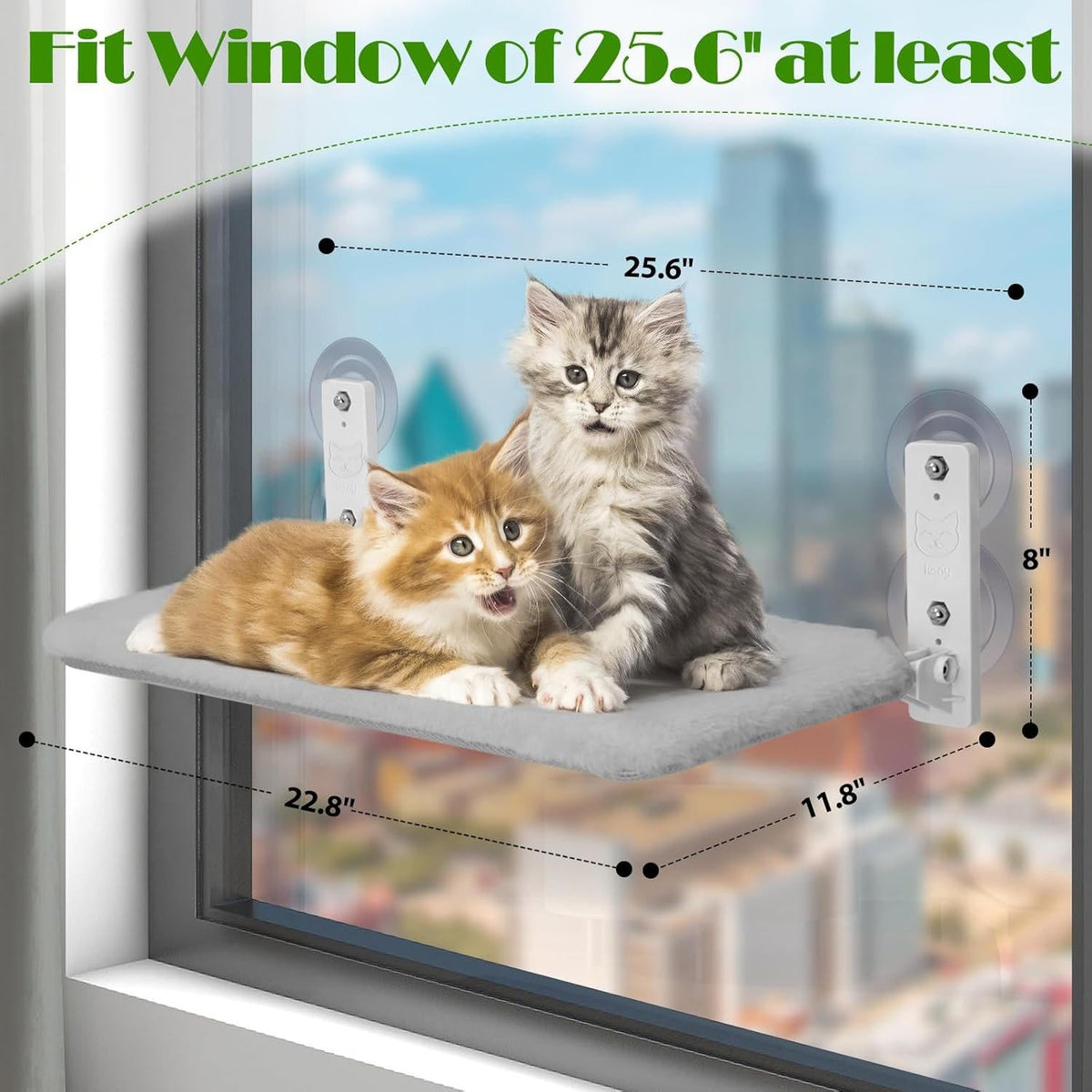 Window Perch for Cats – Ultimate Viewing Experience