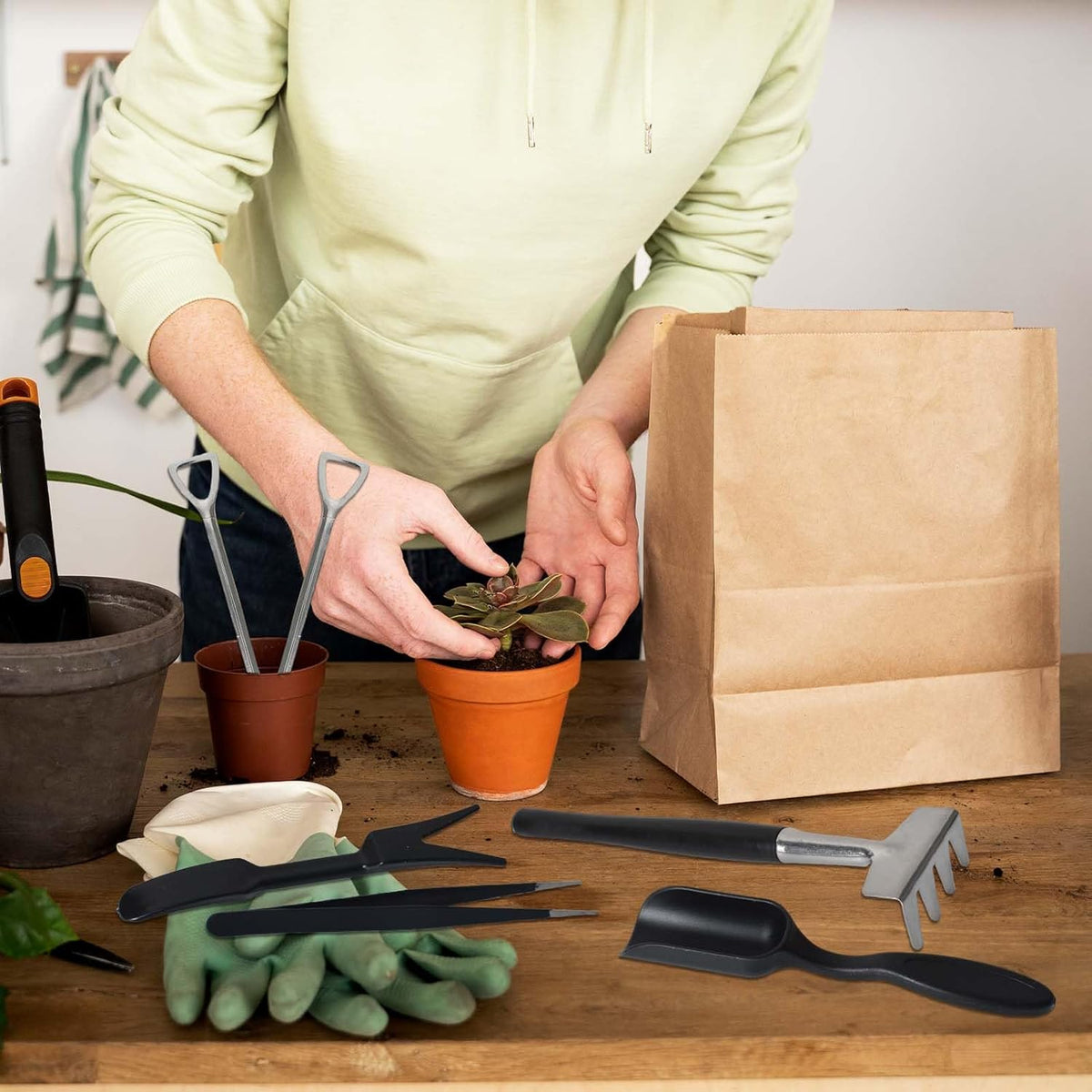 Indoor Gardening Tool Set for Succulents - 12 Pieces with Storage Bag