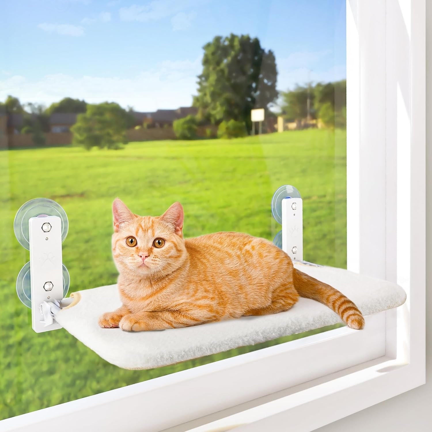 Window Perch for Cats – Ultimate Viewing Experience