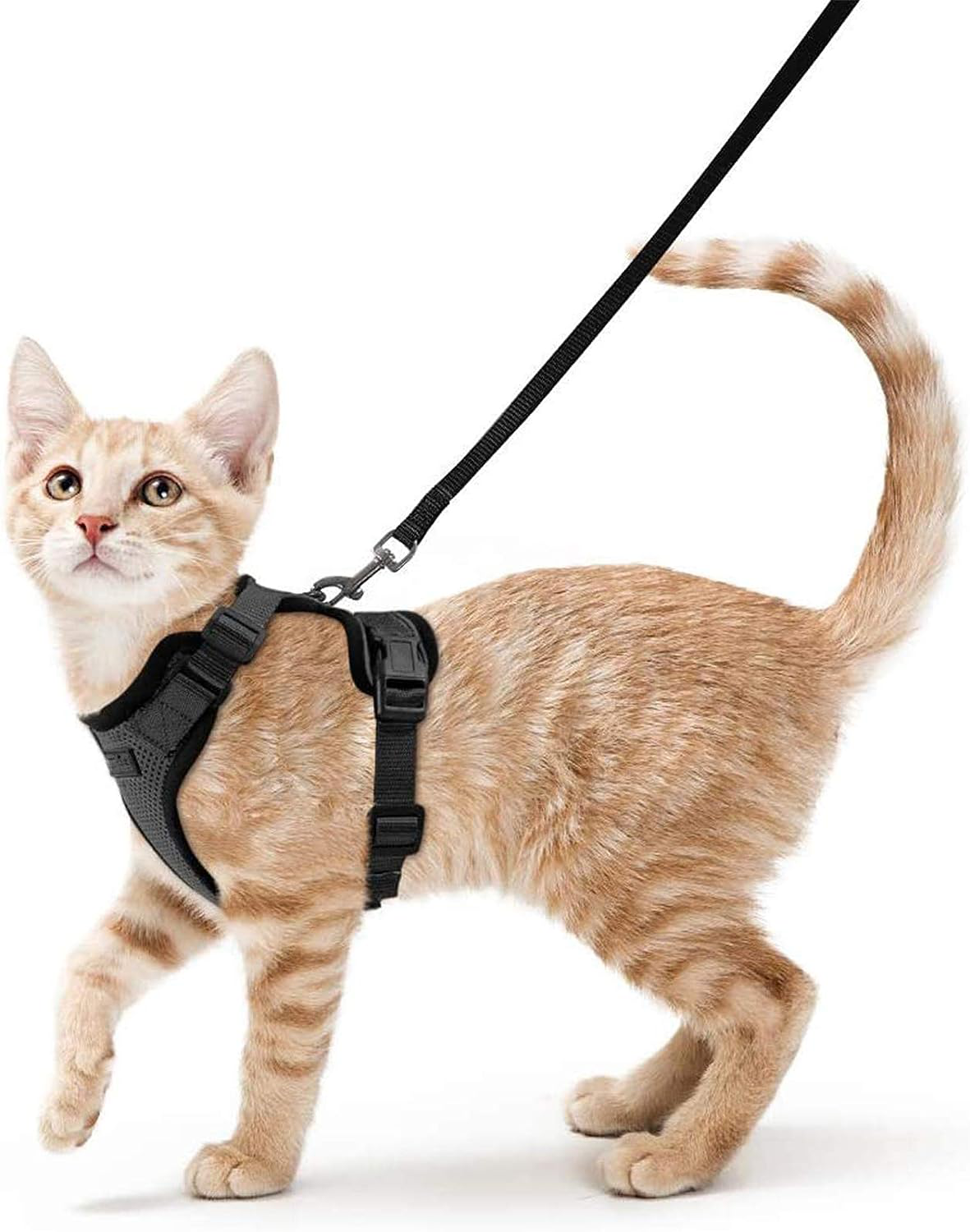 SecureFit Cat Adventure Harness