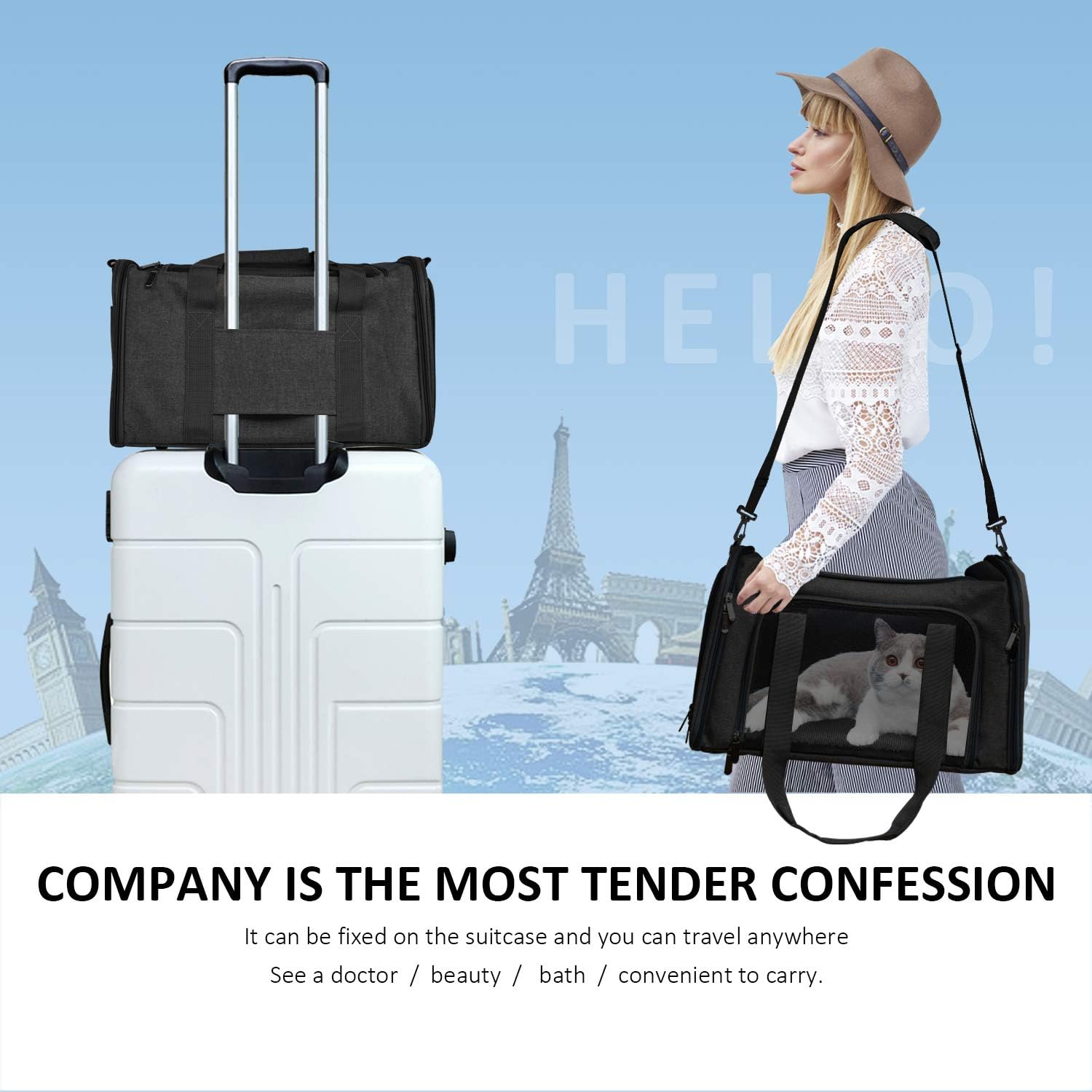 Comfortable Pet Travel Carrier for Small Dogs and Cats