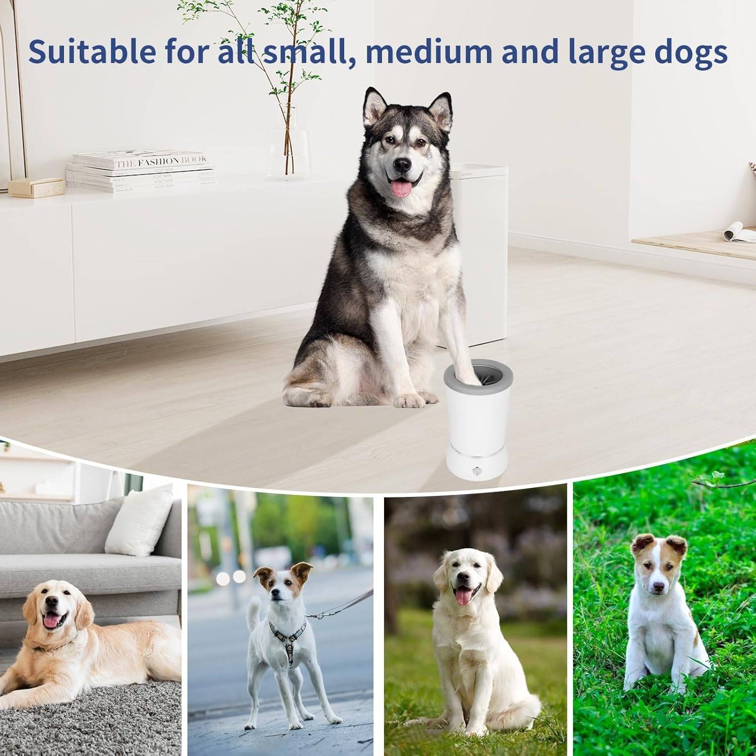 Effortless Pet Paw Cleaning Solution