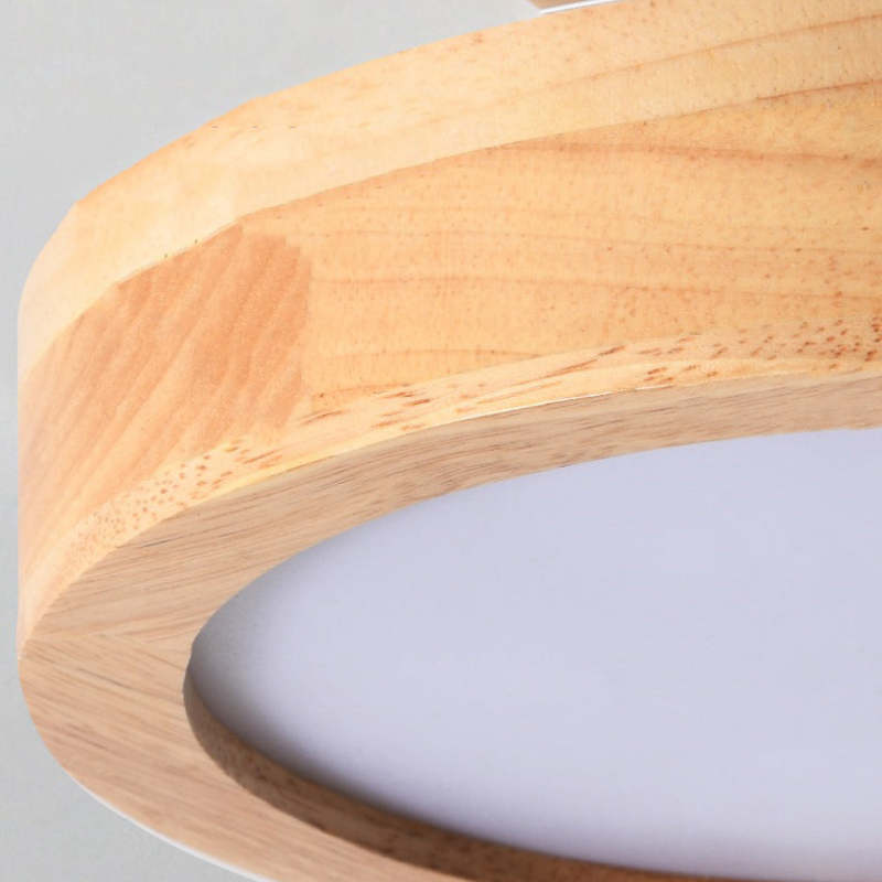 Contemporary Ceiling Light Fixture with LED Technology
