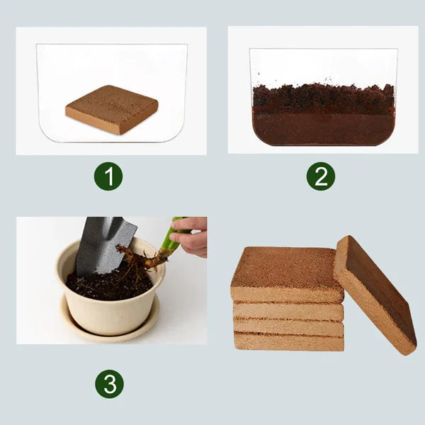 Premium Coconut Fiber Growing Medium for Vibrant Plants