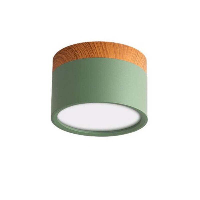 Modern LED Ceiling Light in Morandi Style
