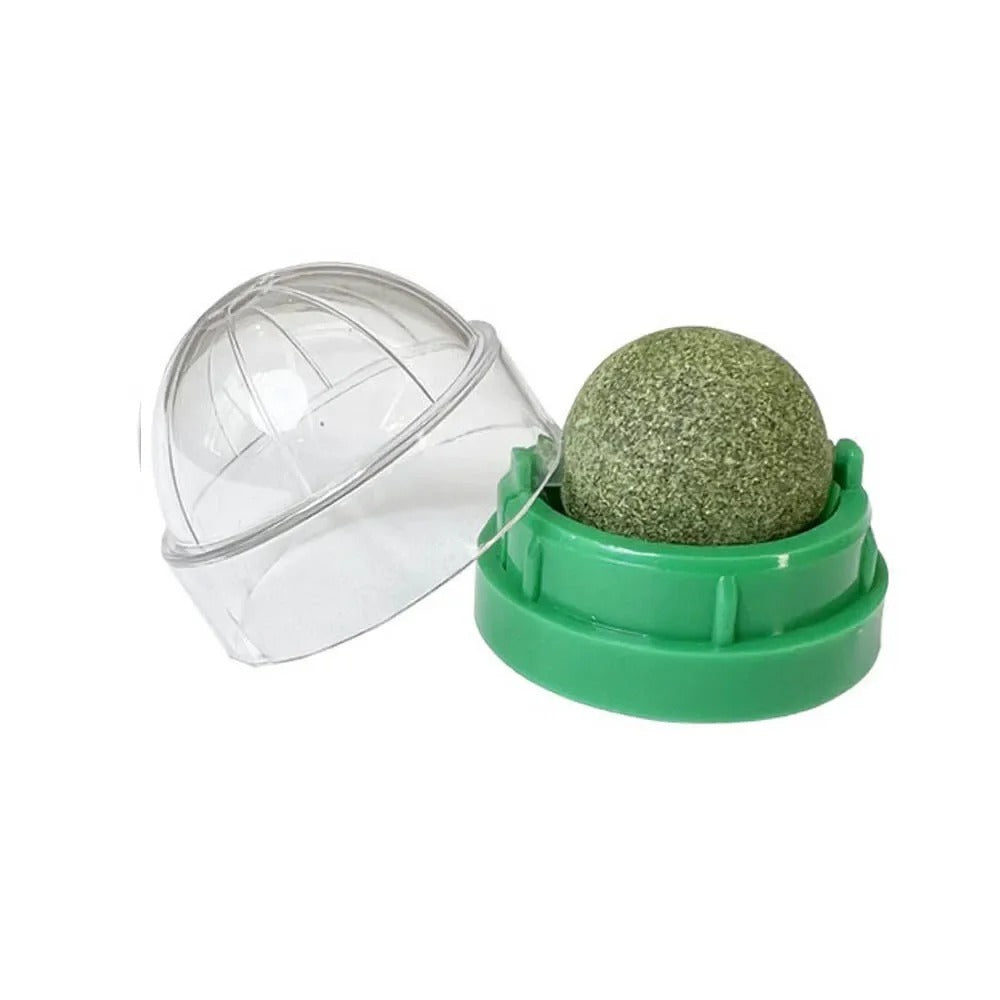 Set of 4 Interactive Catnip Spheres