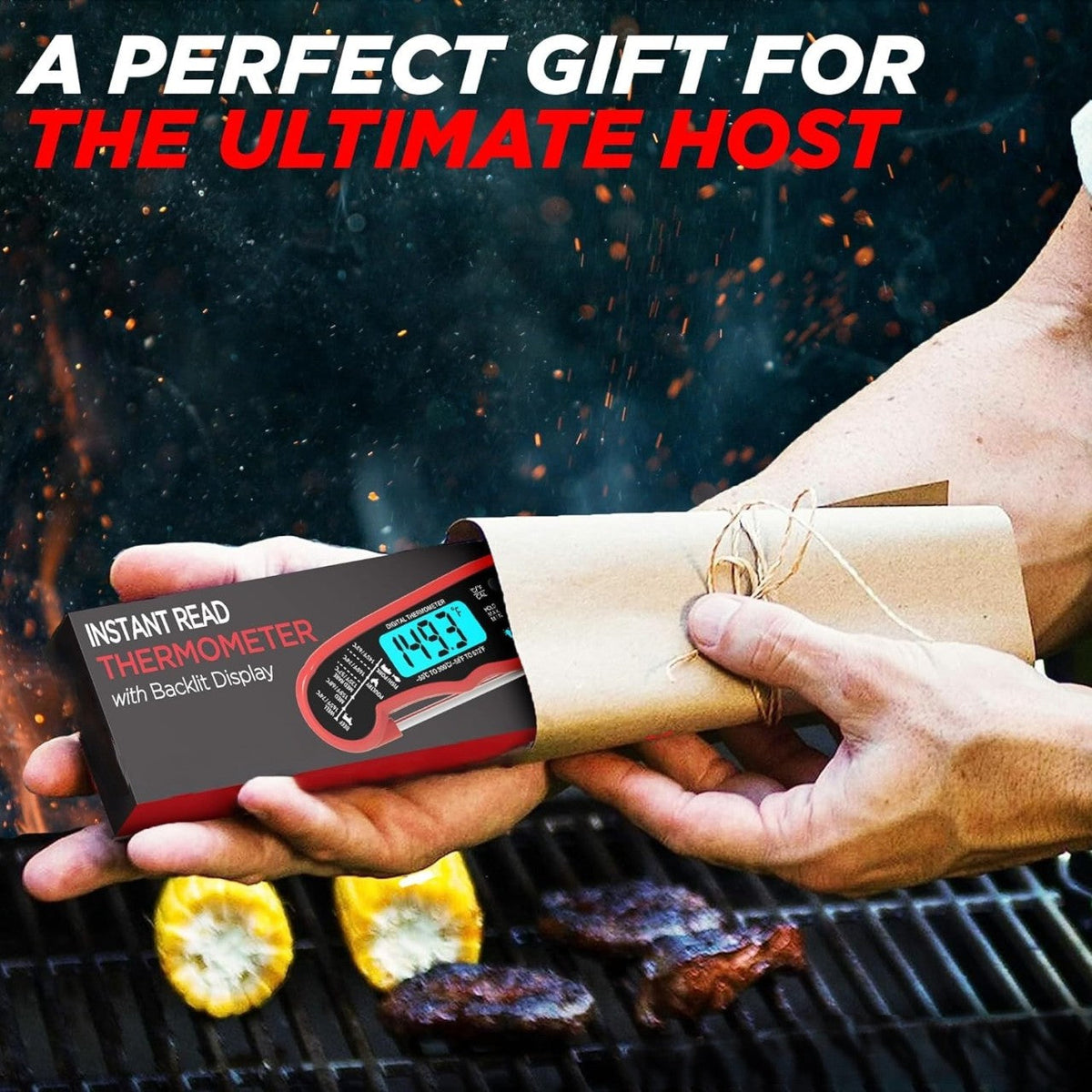 Rapid Precision Meat Temperature Reader
