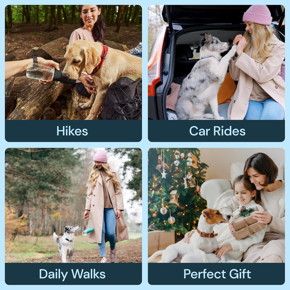 Hydration On-the-Go: 19 oz Dog Water Bottle