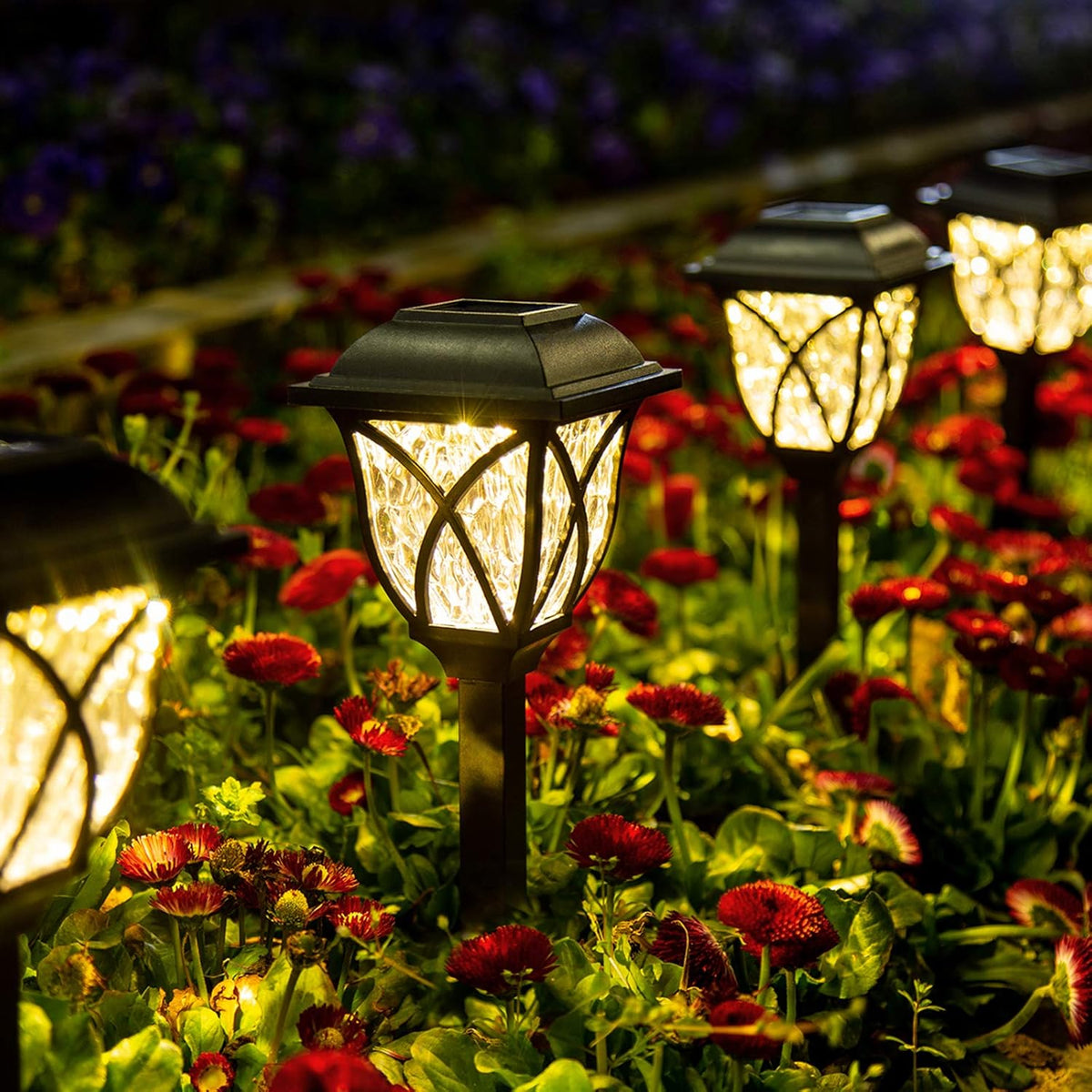 Outdoor Solar Pathway Lights - 6 Pack for Garden Elegance
