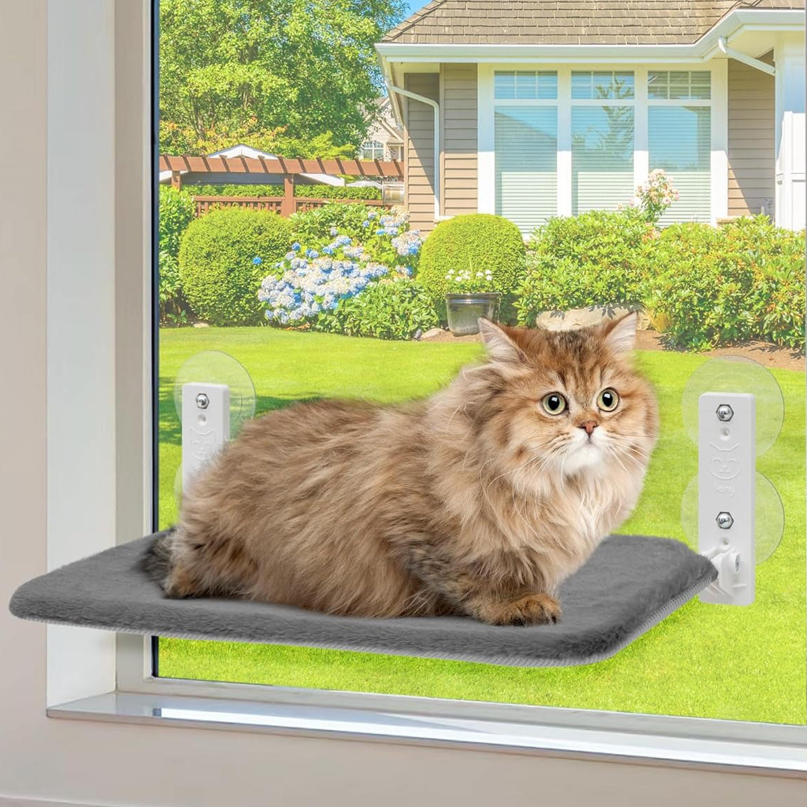Window Perch for Cats – Ultimate Viewing Experience