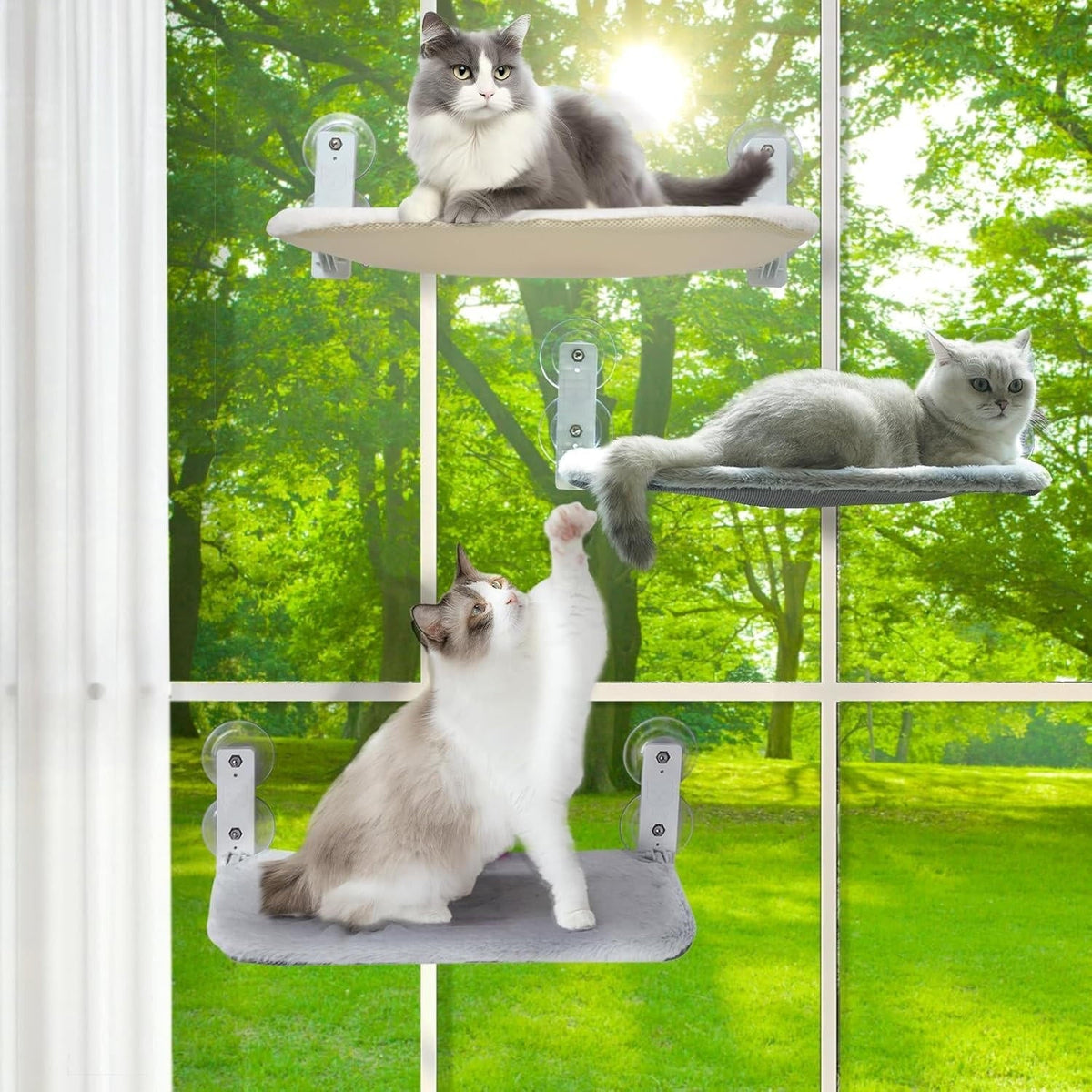 Window Perch for Cats – Ultimate Viewing Experience