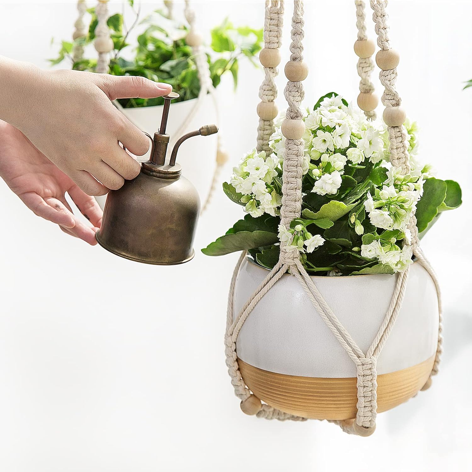 Stylish Indoor Hanging Plant Holder