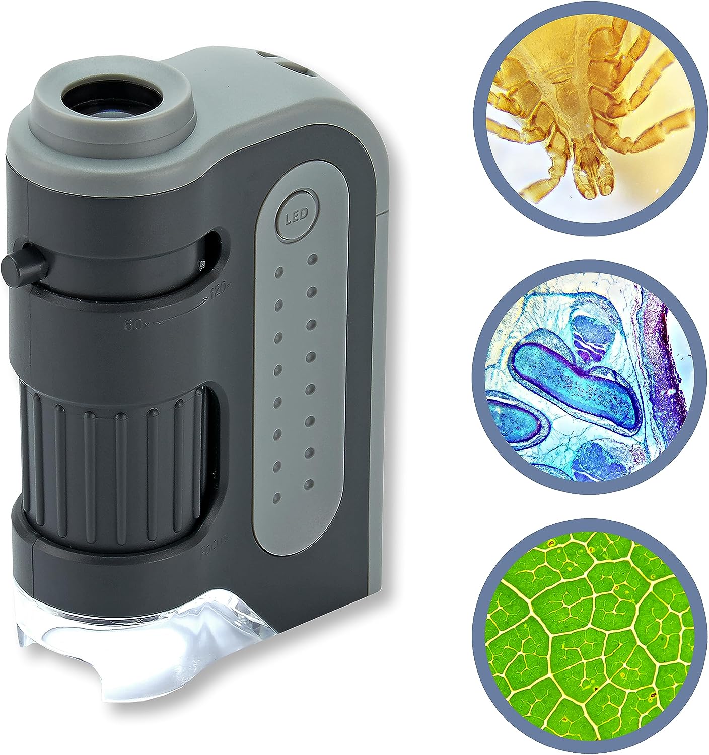 Compact Explorer Microscope with LED Illumination