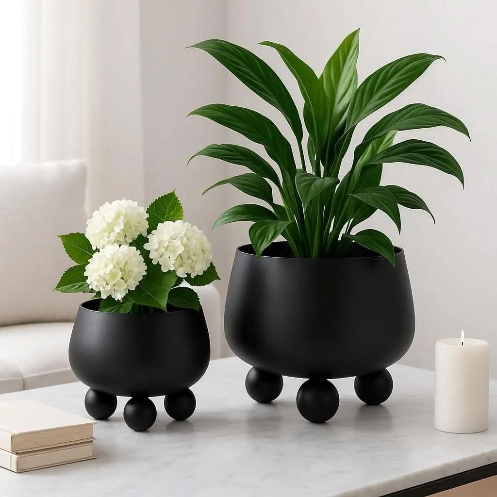 Chic Ceramic Planter Duo for Contemporary Spaces