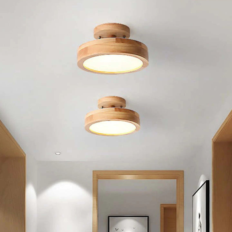 Contemporary Ceiling Light Fixture with LED Technology