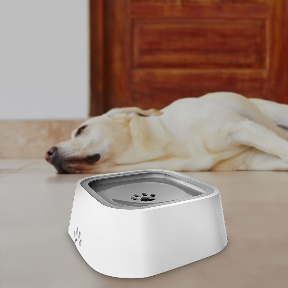 Spill-Free Large Dog Water Dispenser