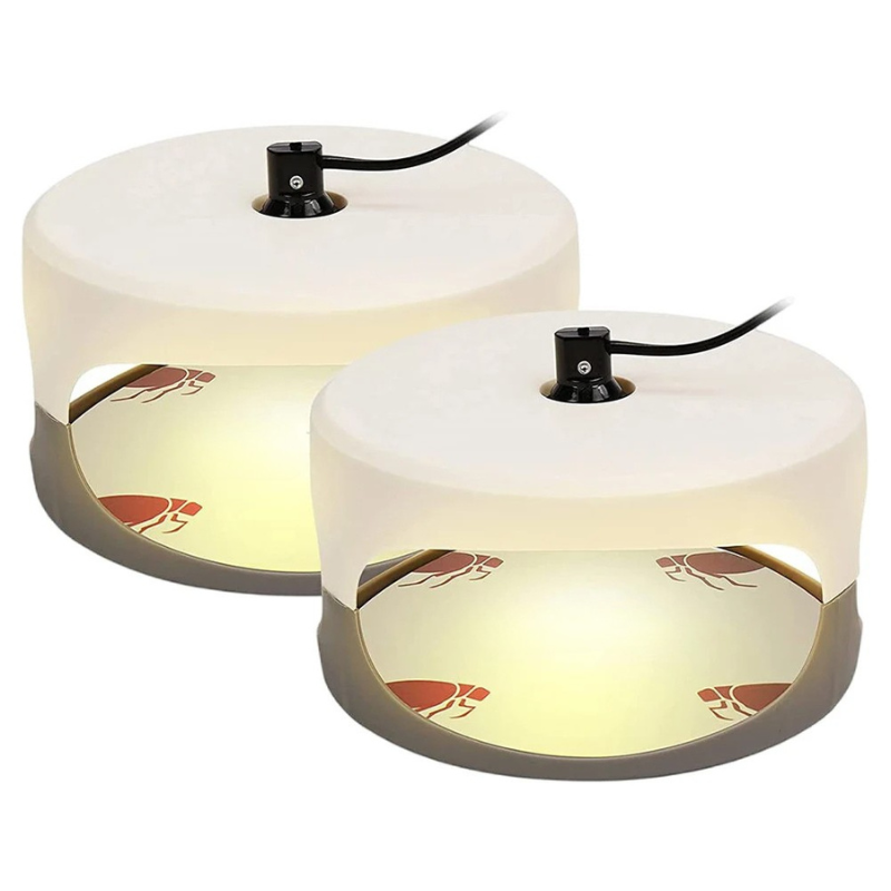 Smart Bed Bug Detection System