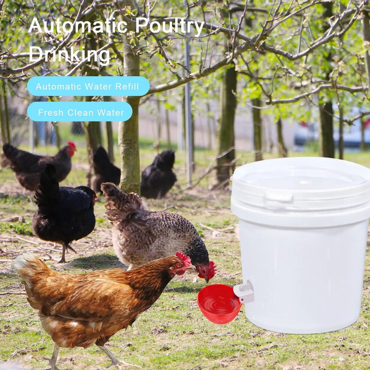 10-Pack Automatic Poultry Hydration System