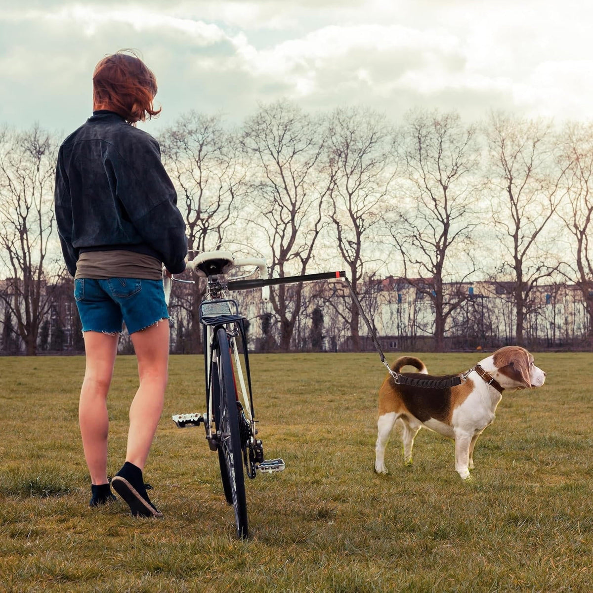 Pet Companion Bike Tow Leash System