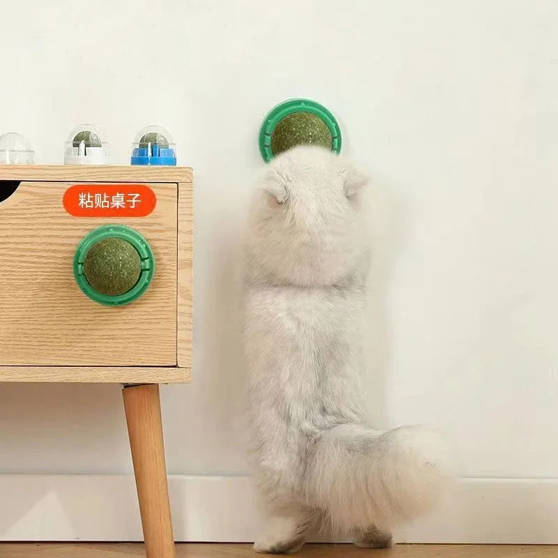 Set of 4 Interactive Catnip Spheres