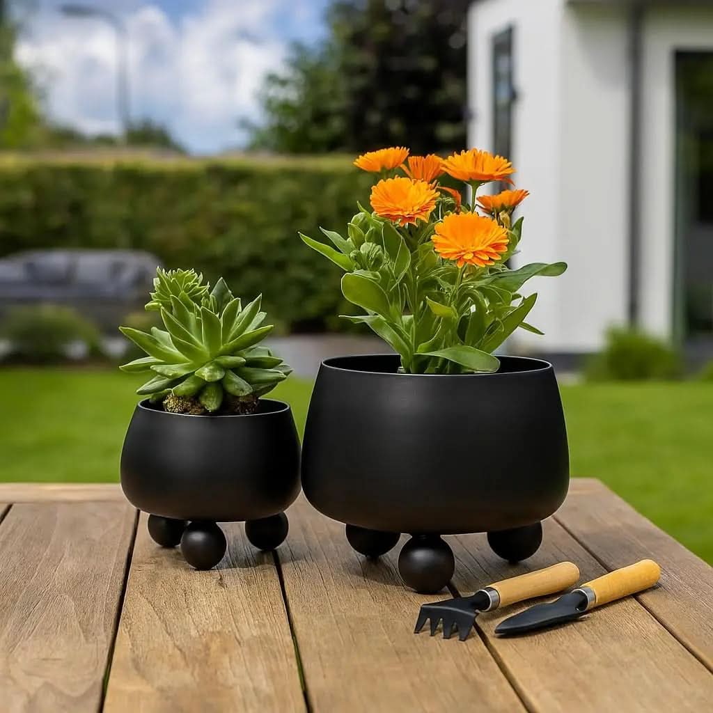 Chic Ceramic Planter Duo for Contemporary Spaces
