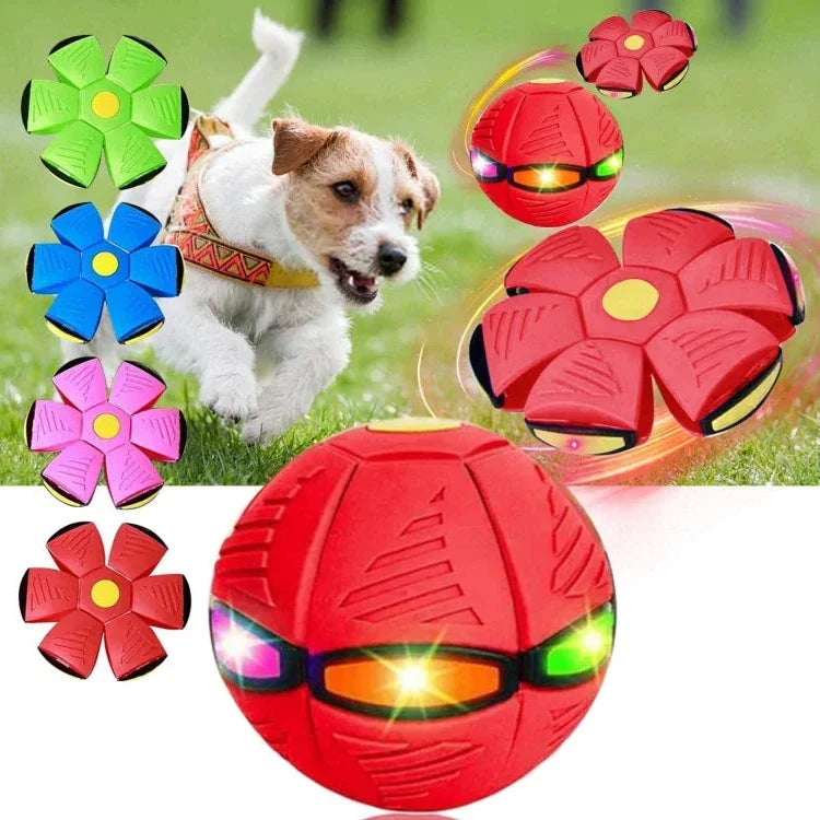 Bounce & Glow Frisbee Dog Plaything