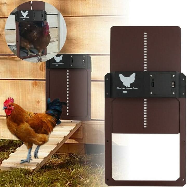 Smart Coop Access Door with Light Activation | Weather-Resistant Design