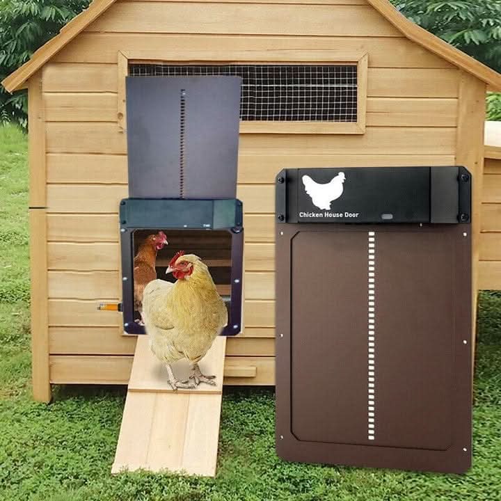 Smart Coop Access Door with Light Activation | Weather-Resistant Design
