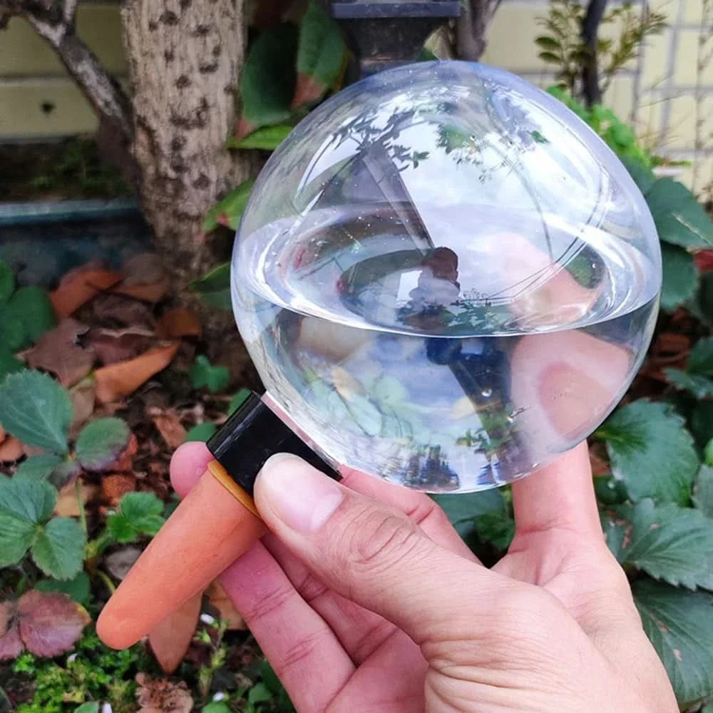 AquaSphere – Elegant Self-Watering Globes for Indoor Plants