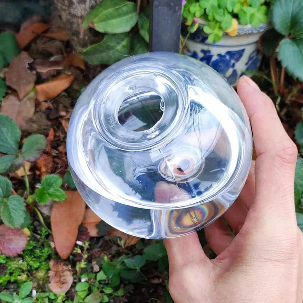 AquaSphere – Elegant Self-Watering Globes for Indoor Plants