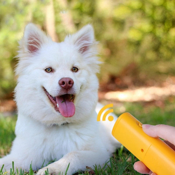 Bark Control Device for Dogs