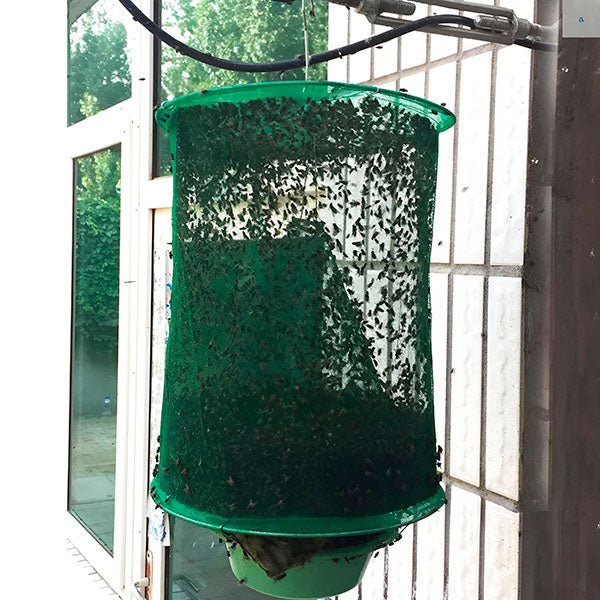 Eco-Friendly Fly Capture Solution for Outdoor Spaces
