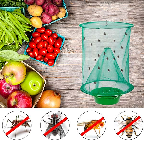Eco-Friendly Fly Capture Solution for Outdoor Spaces