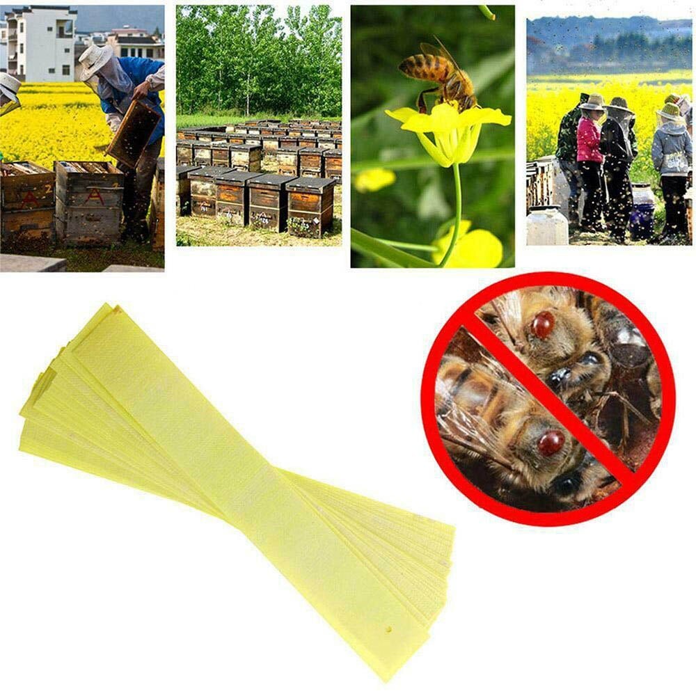 20-Pack of EcoGuard Mite Control Strips for Beekeeping