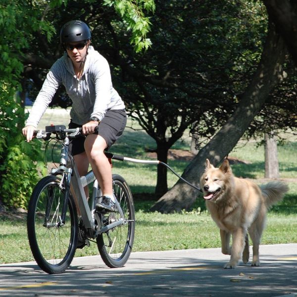 Reliable Dog Bicycle Safety Harness for Adventurous Rides