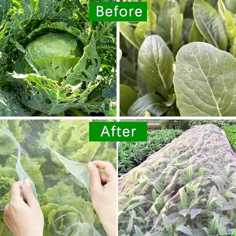 EcoGuard – Versatile Netting for Effortless Garden Protection