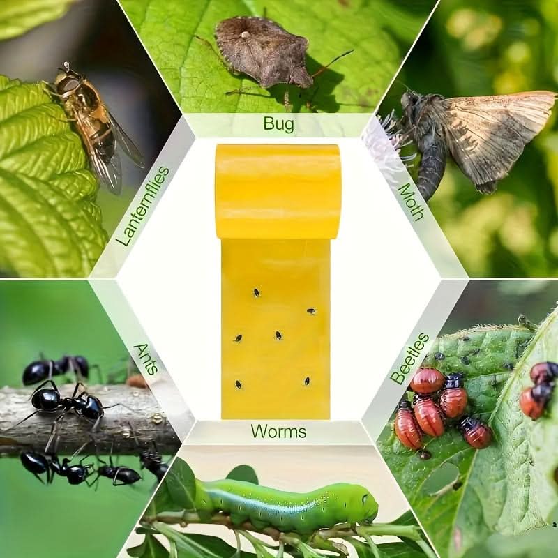 InsectShield - Adhesive Pest Barrier Tape for Plant Safety