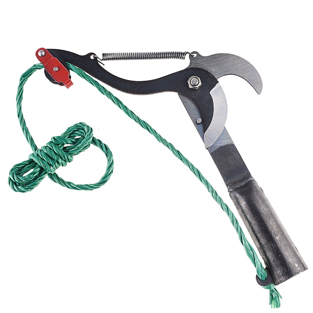 Elevate Your Gardening with Extendable Branch Shears