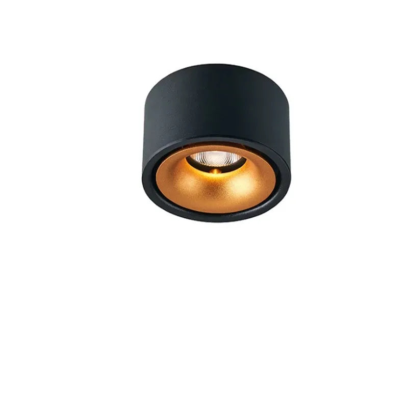 Versatile LED Ceiling Spotlight with Adjustable Beam