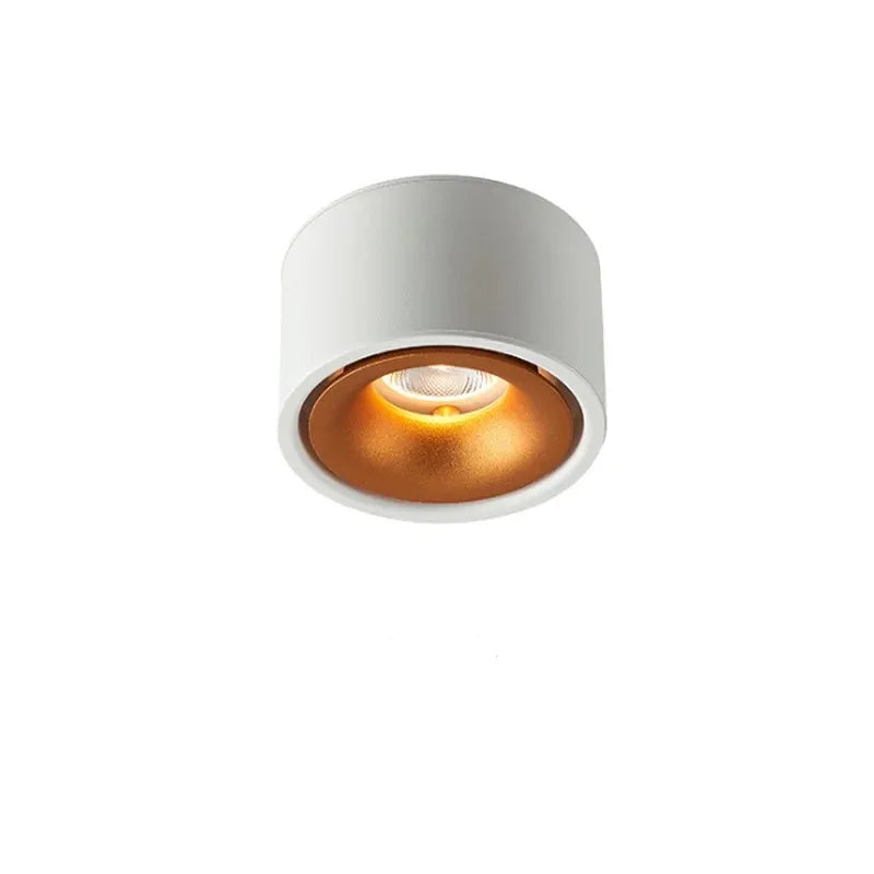 Versatile LED Ceiling Spotlight with Adjustable Beam