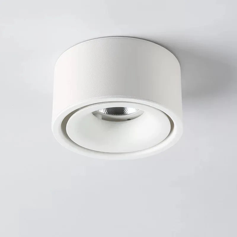 Versatile LED Ceiling Spotlight with Adjustable Beam