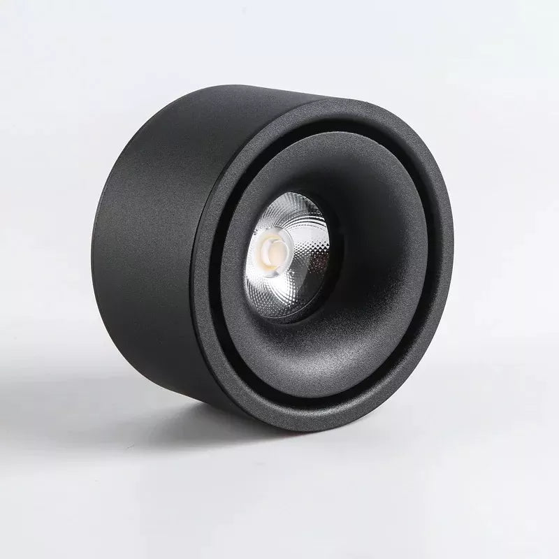 Versatile LED Ceiling Spotlight with Adjustable Beam