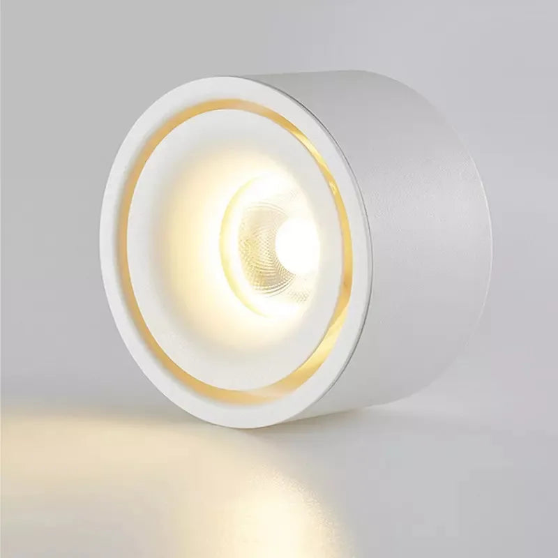 Versatile LED Ceiling Spotlight with Adjustable Beam